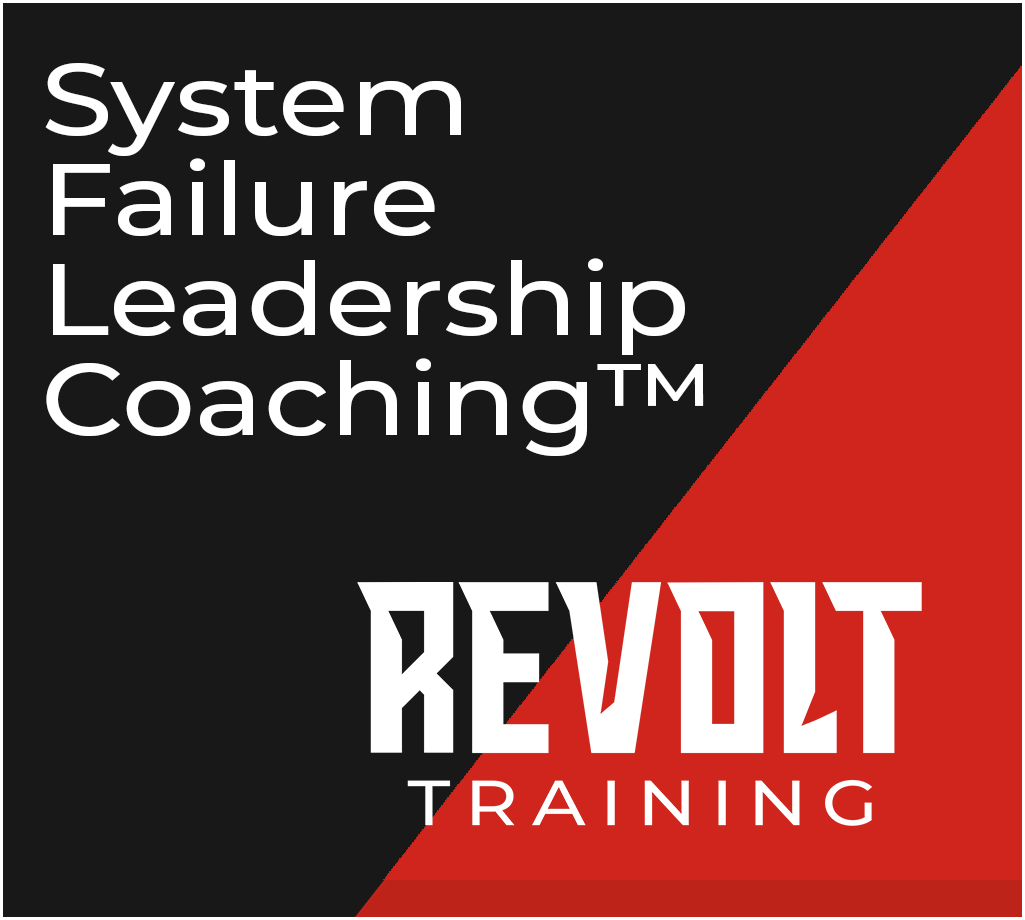 Featured image for “System Failure Leadership Coaching™”